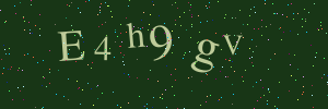 Validation image