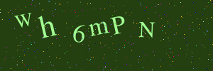 Validation image